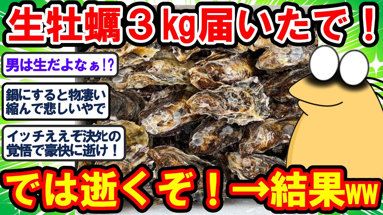 【2ch面白いスレ】火を通そうが逝く時は逝く！あたるのが怖くて牡蠣が食えるか！→ 結果www【2chゆっくり解説】