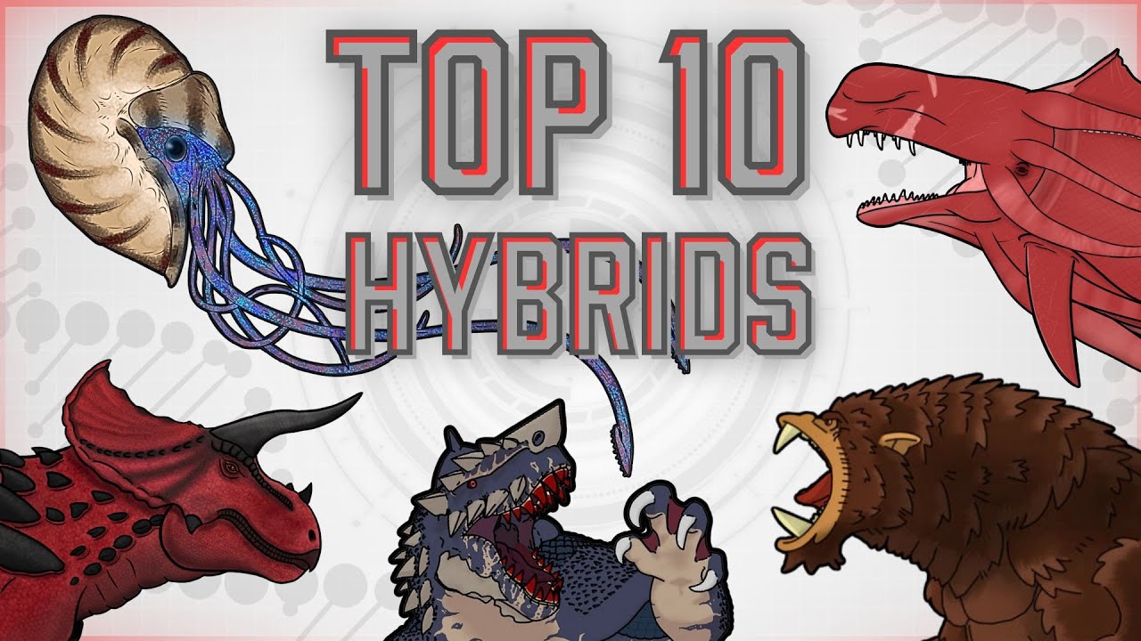 Hybrid War | Top 10 BEST Hybrids