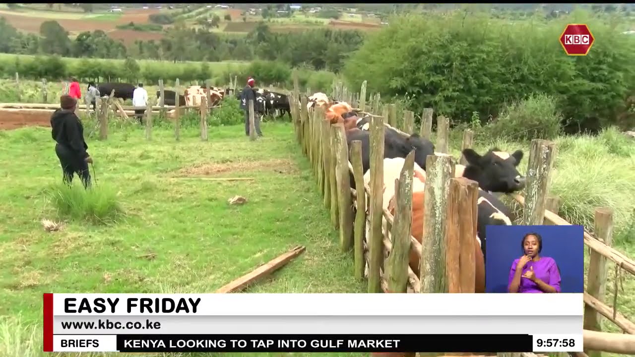 Kenya Veterinary Association backs new tech-driven vaccination programme