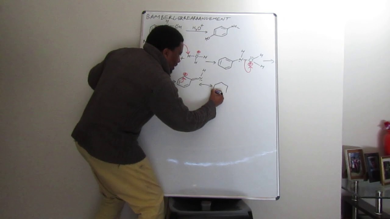 BAMBERGER REARRANGEMENT 1 Compressed