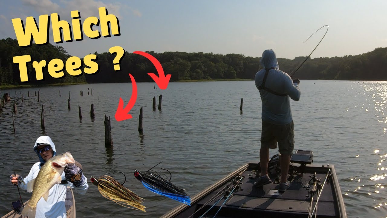 Jig Fishing In Standing Timber (I Learned A Valuable Lesson)