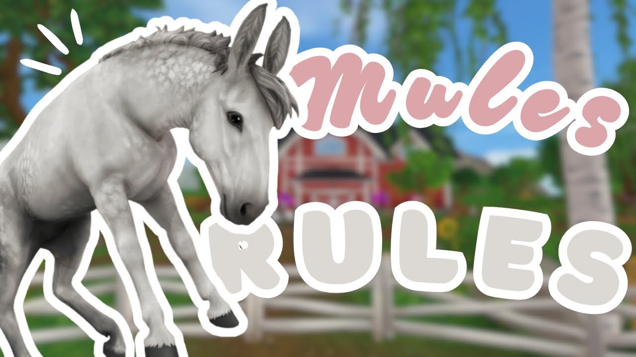 The Mules are in town🤩