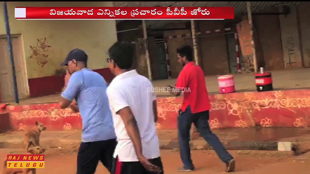 YSRCP MP Candidate PVP Meet Walkers || Election Campaign 2019 || Vijayawada || Raj News