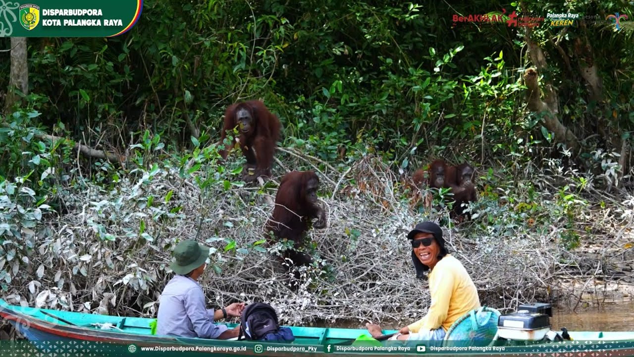 Menapak Jejak Perjalanan Dua Dunia, New Zealand - Palangka Raya