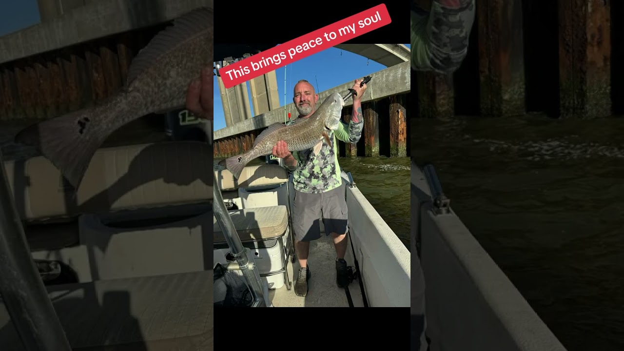 Saltwater fishing in the Gulf of Mexico  