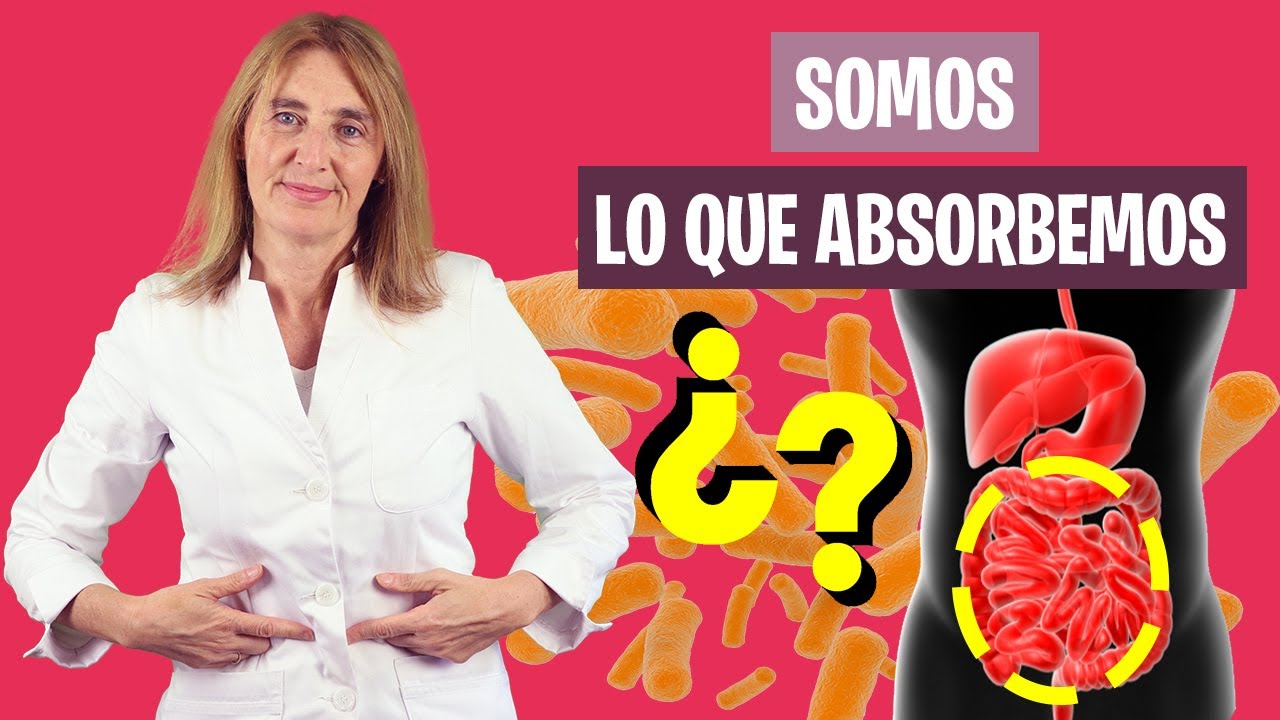 OJO con los PROBLEMAS de ABSORCI&Oacute;N | Causas de mala bsorci&oacute;n intestinal | Nutrici&oacute;n y Diet&eacute;tica