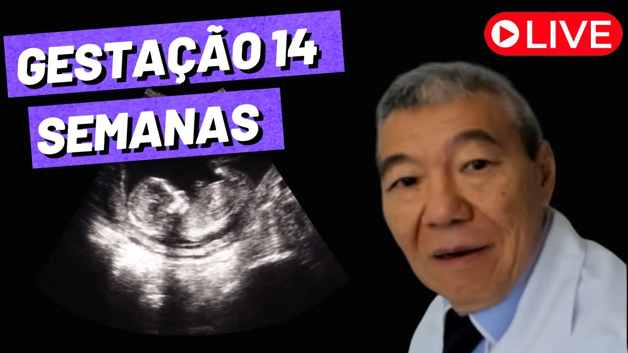 AO VIVO: GESTAÇÃO DE 14 SEMANAS! - REVELAÇÃO.