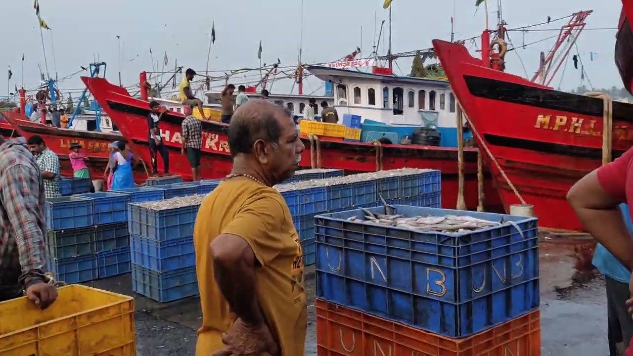 mangalore Bandar || Dhakke Fishing Market