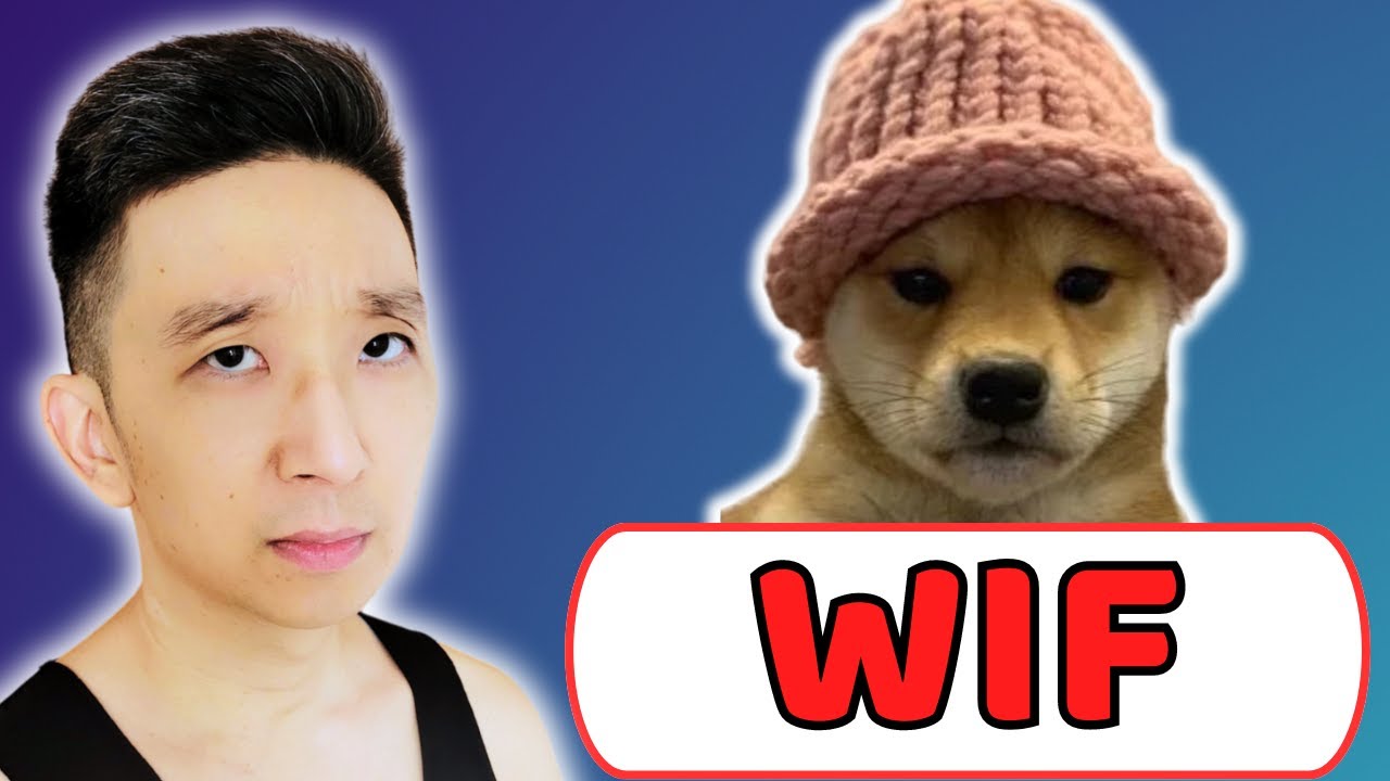 WIF dogwifhat Price Prediction (28 June 2024)