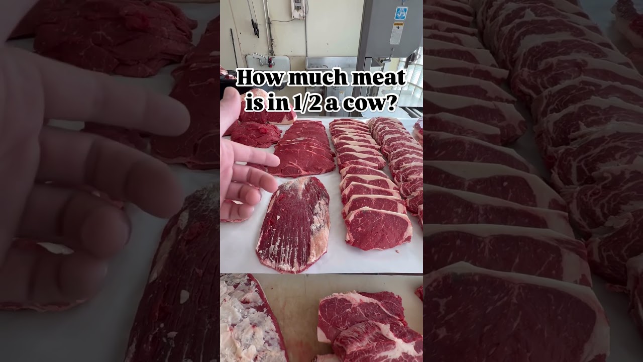 How much meat do you get in 1/2 cow  #shorts #shortsvideo #beef #fyp