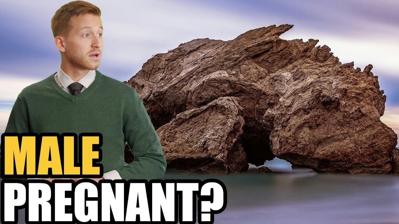 Prairie Dogs Have Dialects? Their Alarm Calls Sound Like a Secret Language