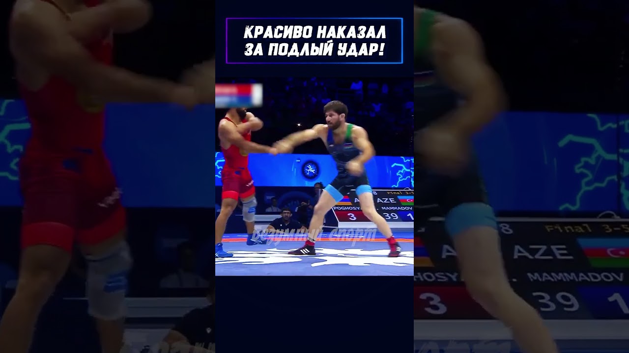 Борьба превратилась в драку.  Армения против Азербайджана. #shorts