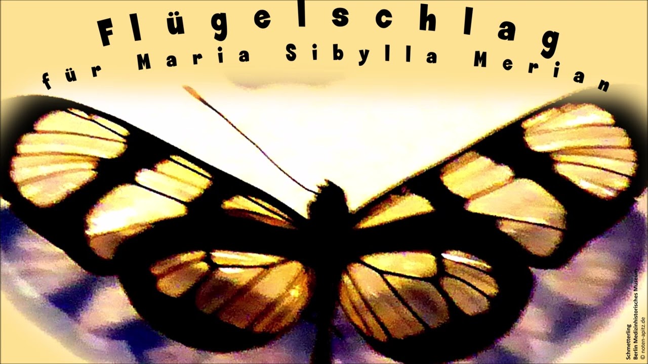 Flügelschlag für M. S. Merian (Apitz); Orchester Köthen; Schmetterling Berlin Medizinhistorisches M.