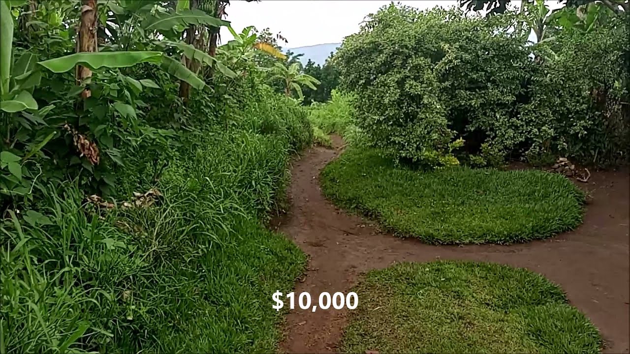 🌴🌴Mountain Living in Rwanda - Off The Grid