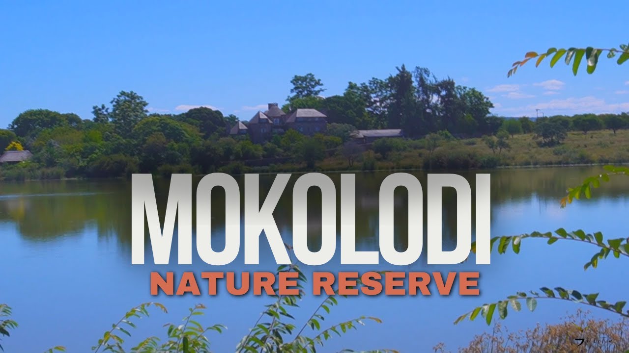 Exploring Mokolodi Nature Reserve: Must-See Safari Destinations