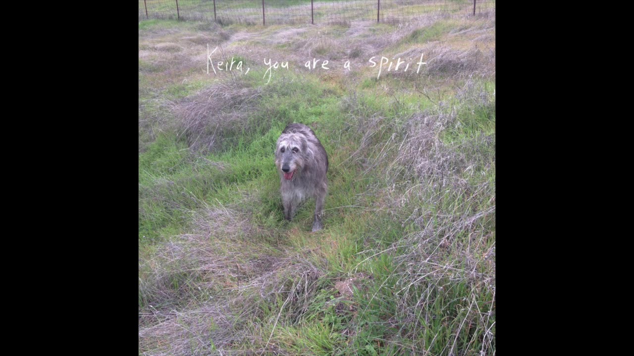 field medic - keira, you are a spirit