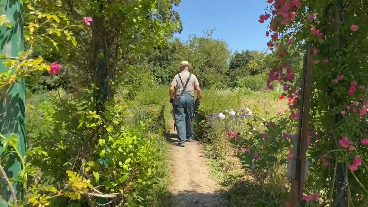 Saint-Cloud : Les jardins de l'Association des jardins ouvriers de l'automobile et du cycle