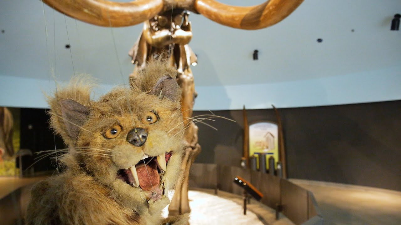 Welcome back to the La Brea Tar Pits!