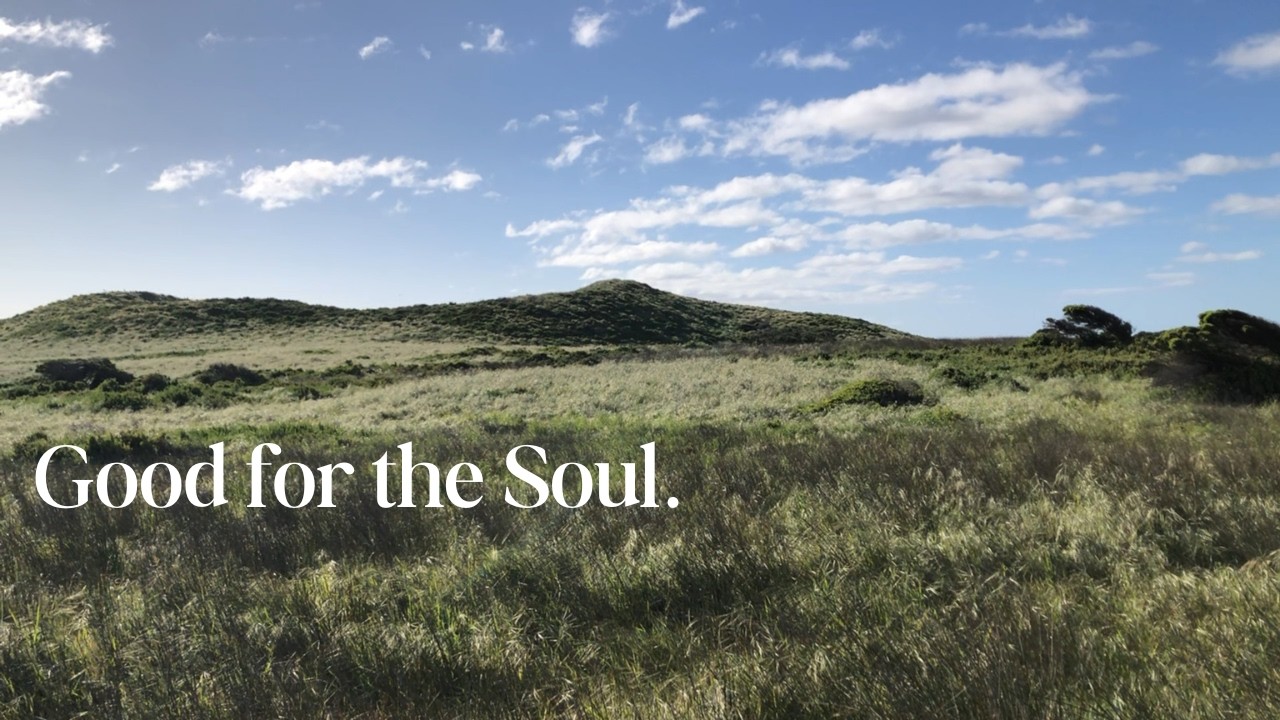 Walking a quiet pathway through a coastal reserve to the ocean.