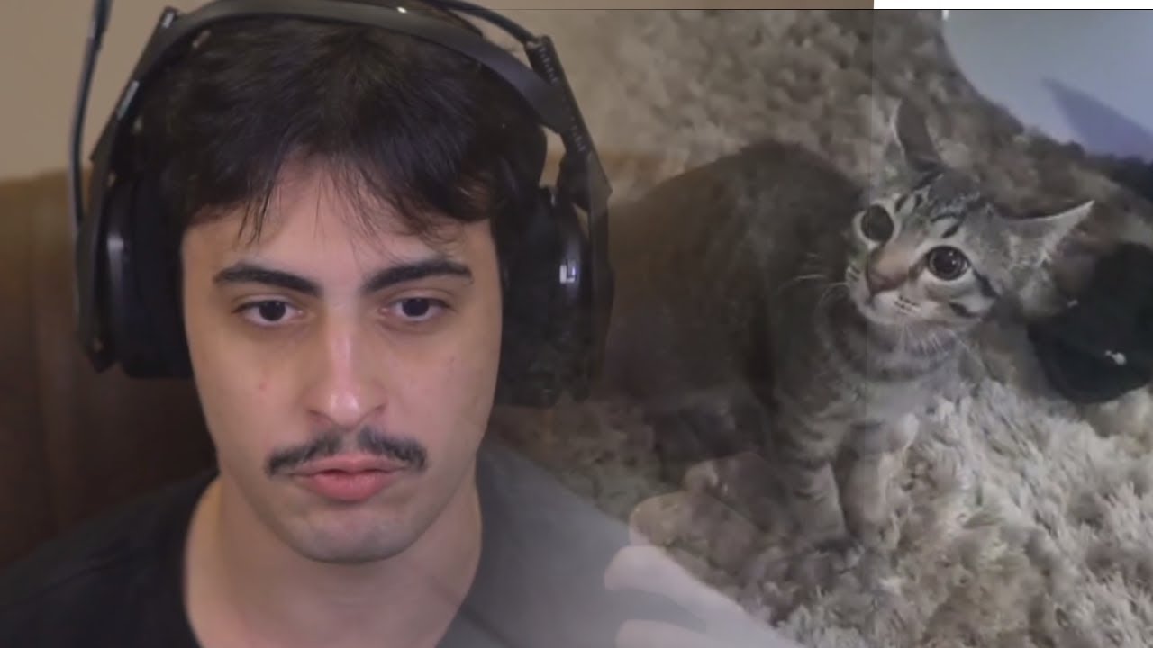 Orochinho mostrando o babidi perturbando ele de madrugada