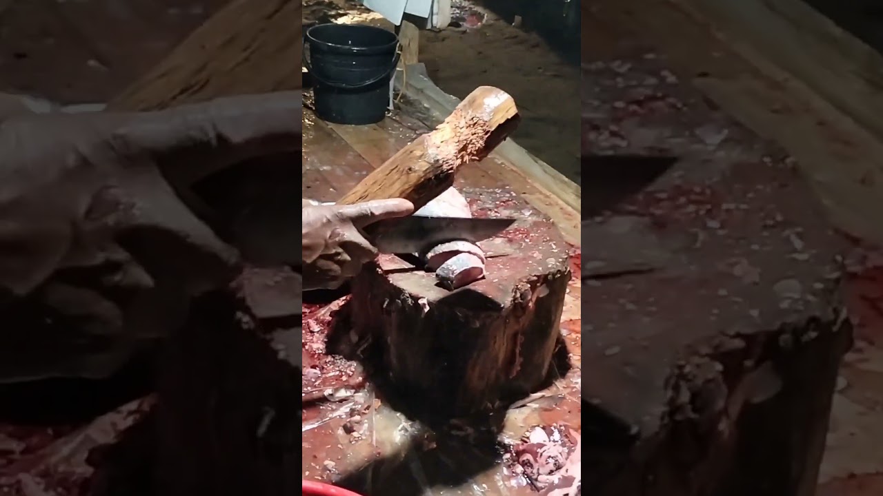 Fish Cutting Live video | Fish cutting 