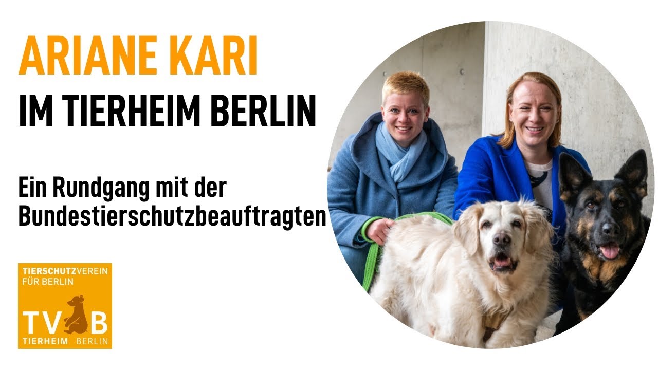 Zwischen Rasseliste, Katzenbabys und Schildkrötenteichen