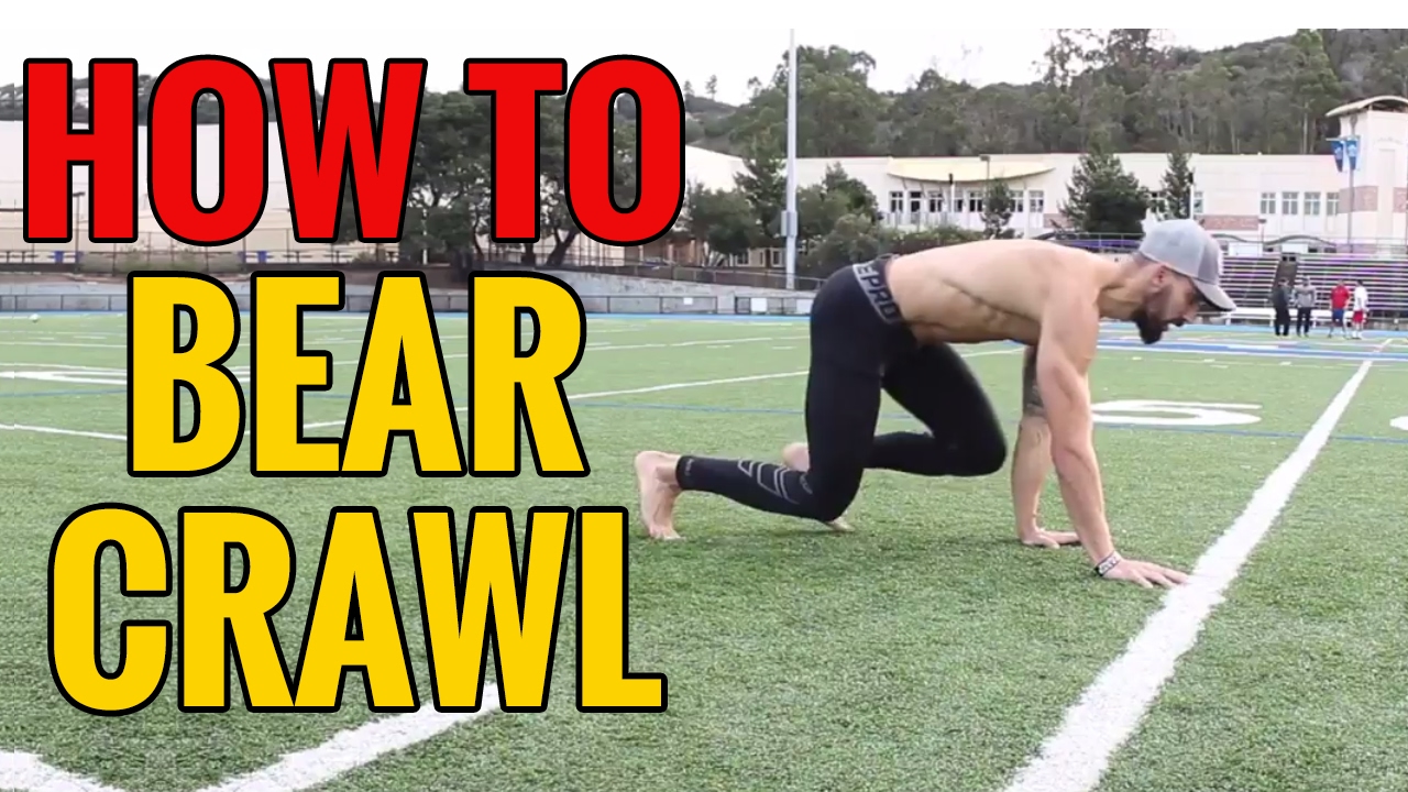 How to Crawl - Beginners Guide to Crawling