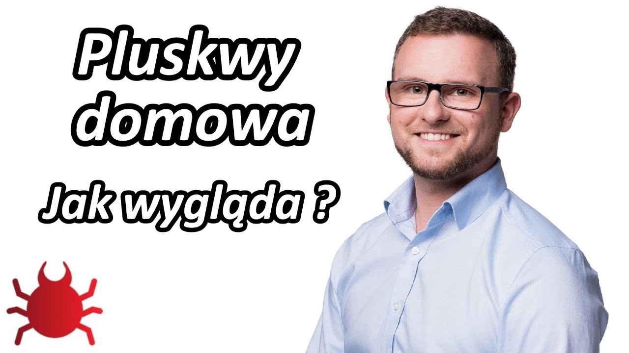 Pluskwa domowa - Jak wygląda i gdzie lubi siedzieć? mgr Łukasz Bula - Zwalczanie Pluskiew Śląsk