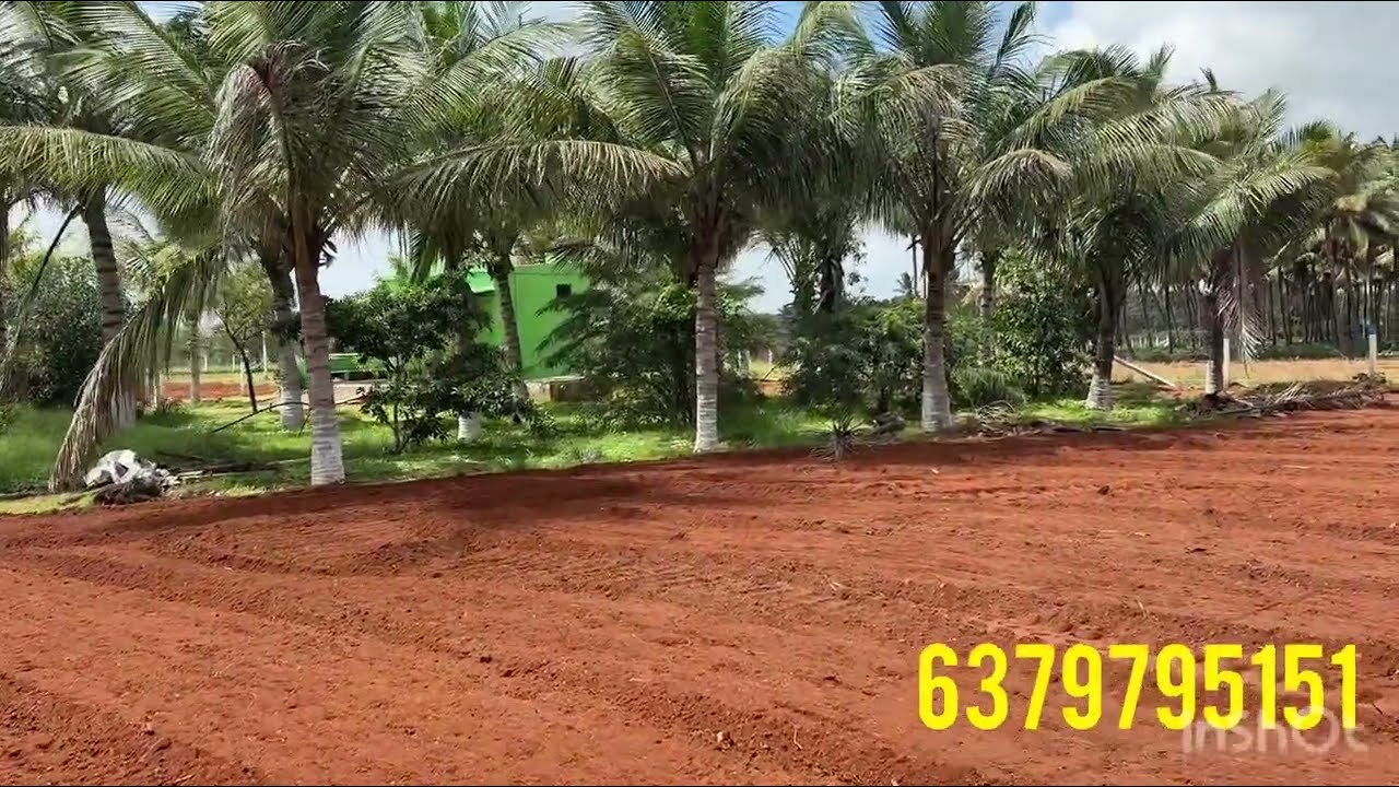 இப்படி ஒரு இடமா!🔥அழகான Farm house உடன் 1.10 ஏக்கர் செம்மண் பூமி மொத்த விலை 60 லட்சம் மாட்டுமே!!!🔥