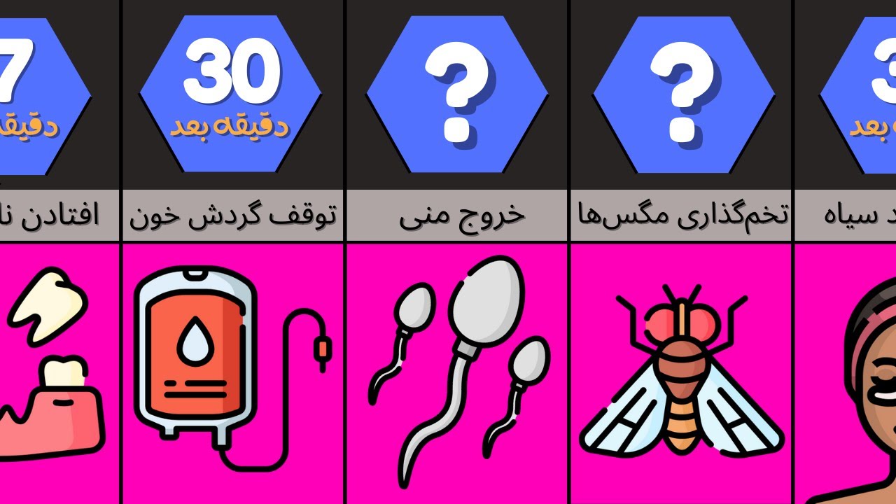 بعد از مرگ بدن انسان چی میشه؟ | حقایقی که هیچ‌وقت نشنیده‌اید