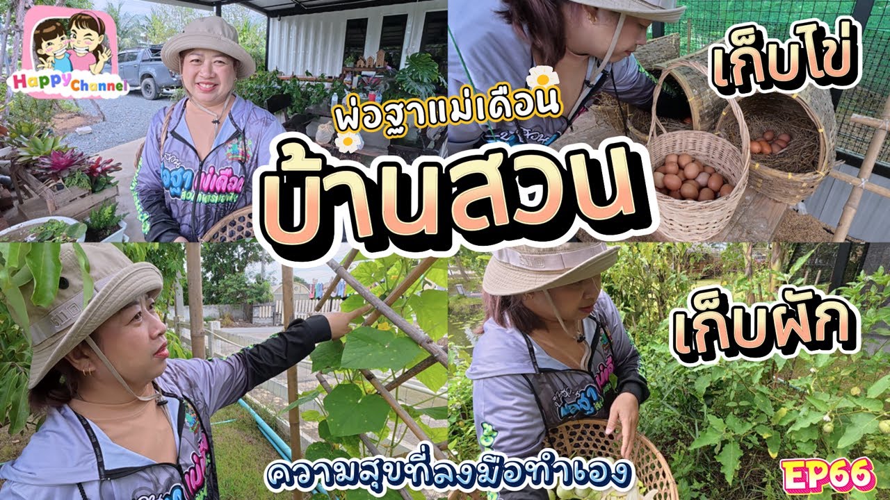 เก็บผัก เก็บไข่ บ้านสวน EP66 Happy Channel