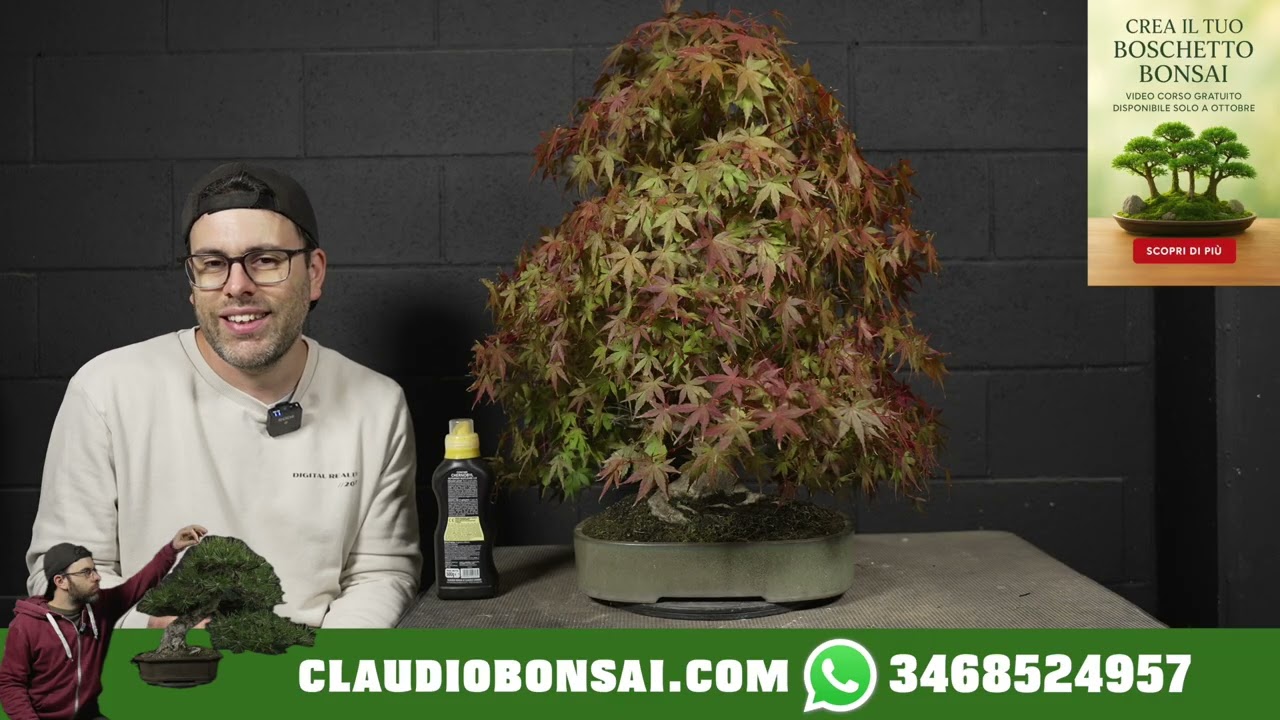 MARGOTTA SUL BONSAI. Quando, come e perch&egrave;