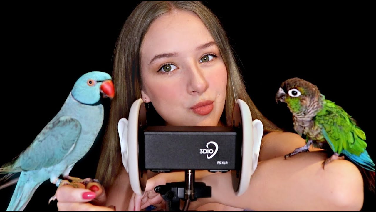 My birds do ASMR