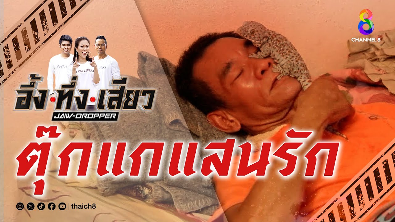 ตุ๊กแกแสนรัก | อึ้ง ทึ่ง เสียว