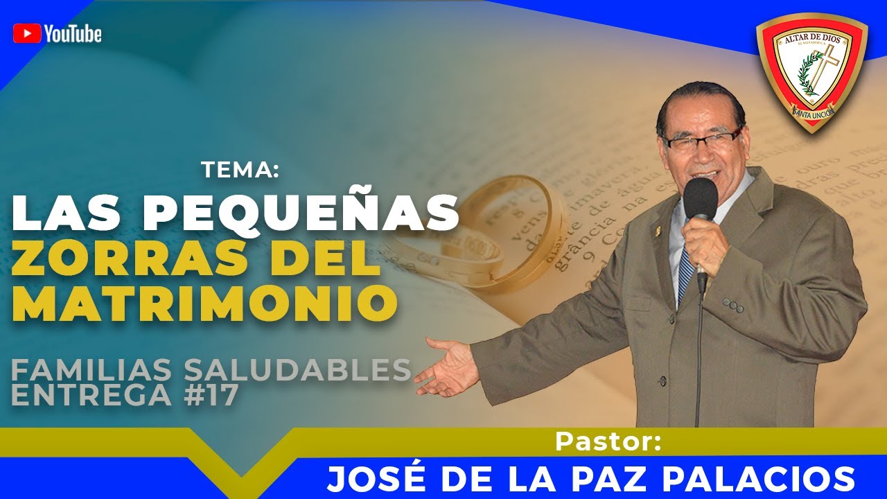 LAS PEQUEÑAS ZORRAS DEL MATRIMONIO - JOSÉ DE LA PAZ PALACIOS