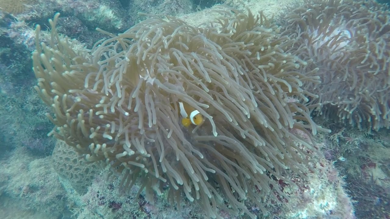 Sisters’ Island Marine Park