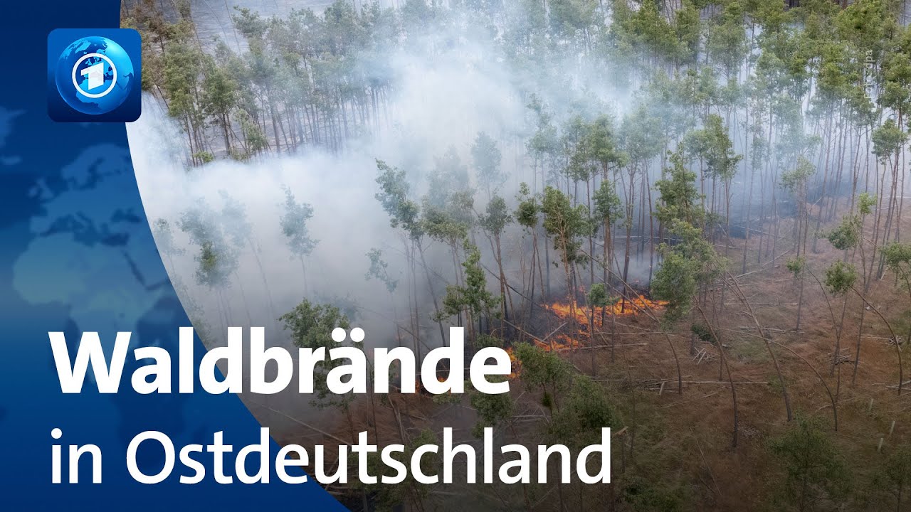 tagesschau24-Sondersendung: Waldbrände in Deutschland und Südeuropa