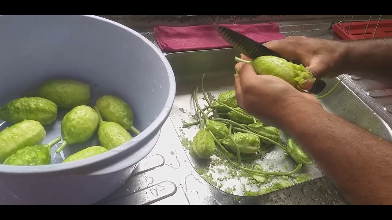 Preparando maxixe 