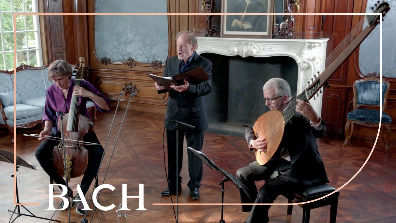 Bach - Vergiss mein nicht BWV 505 - Daniels, Van Der Velden & Jacobs | Netherlands Bach Society