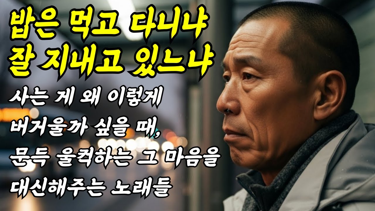[라이브] 행복트롯 베스트 #트로트 #인생노래 #kpop