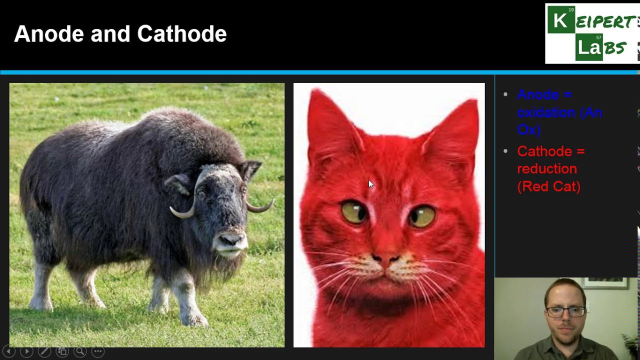 Galvanic (Voltaic) Cells