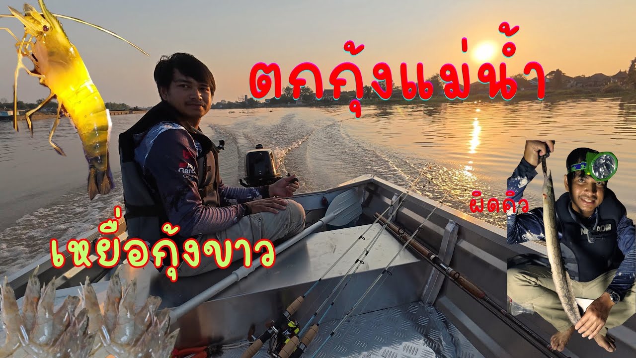 EP.1ตกกุ้งแม่น้ำด้วยเหยื่อกุ้งขาว มันจะกินไหมมาดูกัน