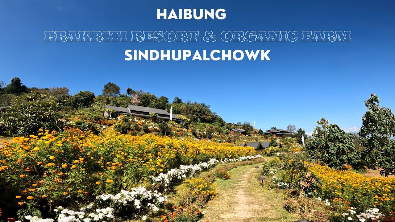 HAIBUNG | PRAKRITI RESORT & ORGANIC FARM | SINDHUPALCHOWK | BEST PLACE NEAR KATHMANDU |