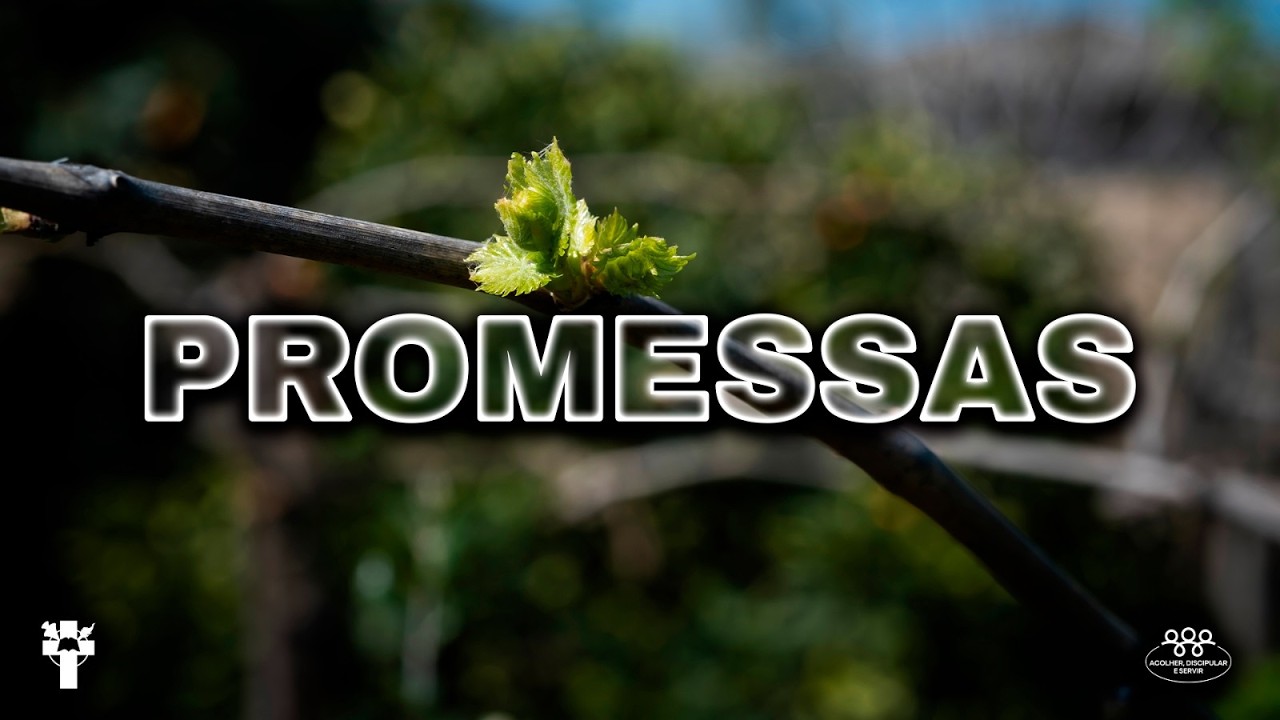 PROMESSAS - QUINTAS DE EDIFICAÇÃO | 22.01.2026