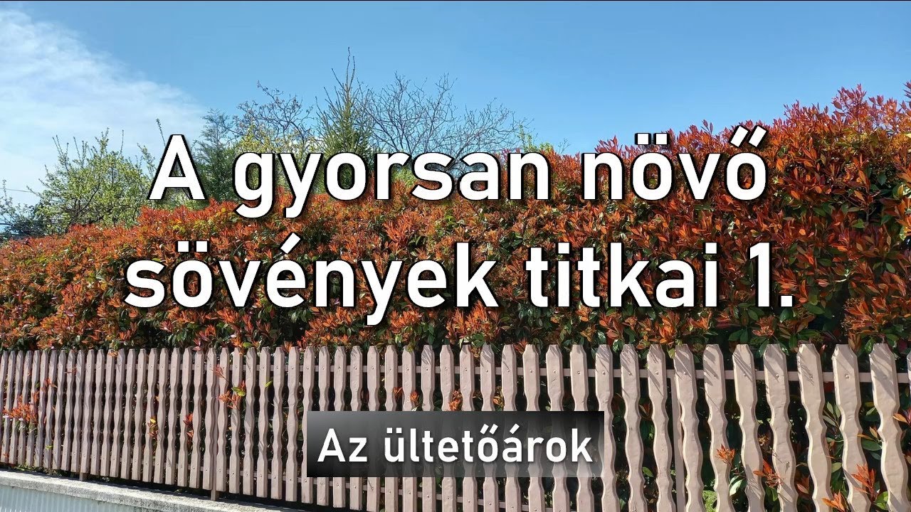 A gyorsan n&ouml;vő s&ouml;v&eacute;nyek titkai 1. Az &uuml;ltető&aacute;rok