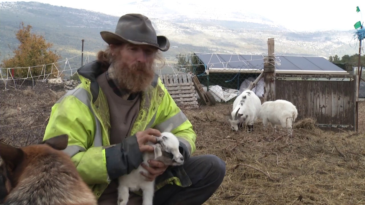 La Ferme d'autrefois : atteindre l'indépendance alimentaire par la permaculture [Rédacteur]
