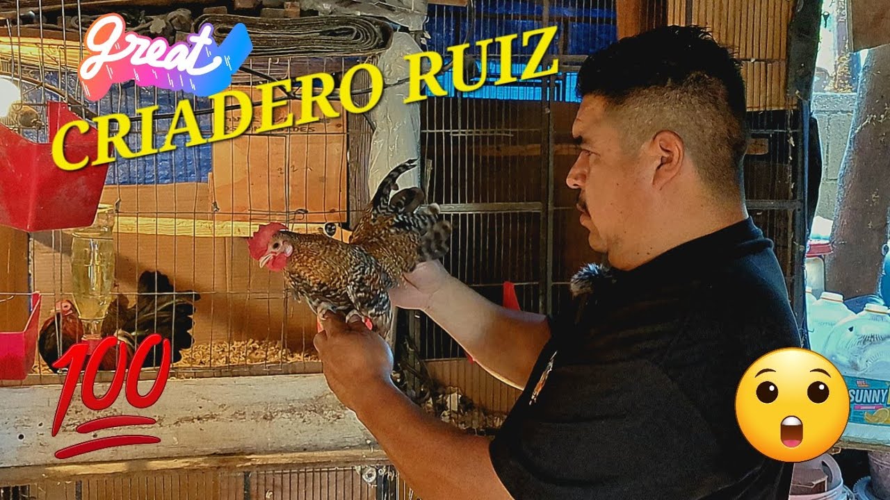CRIADERO RUIZ,pacoima ,california