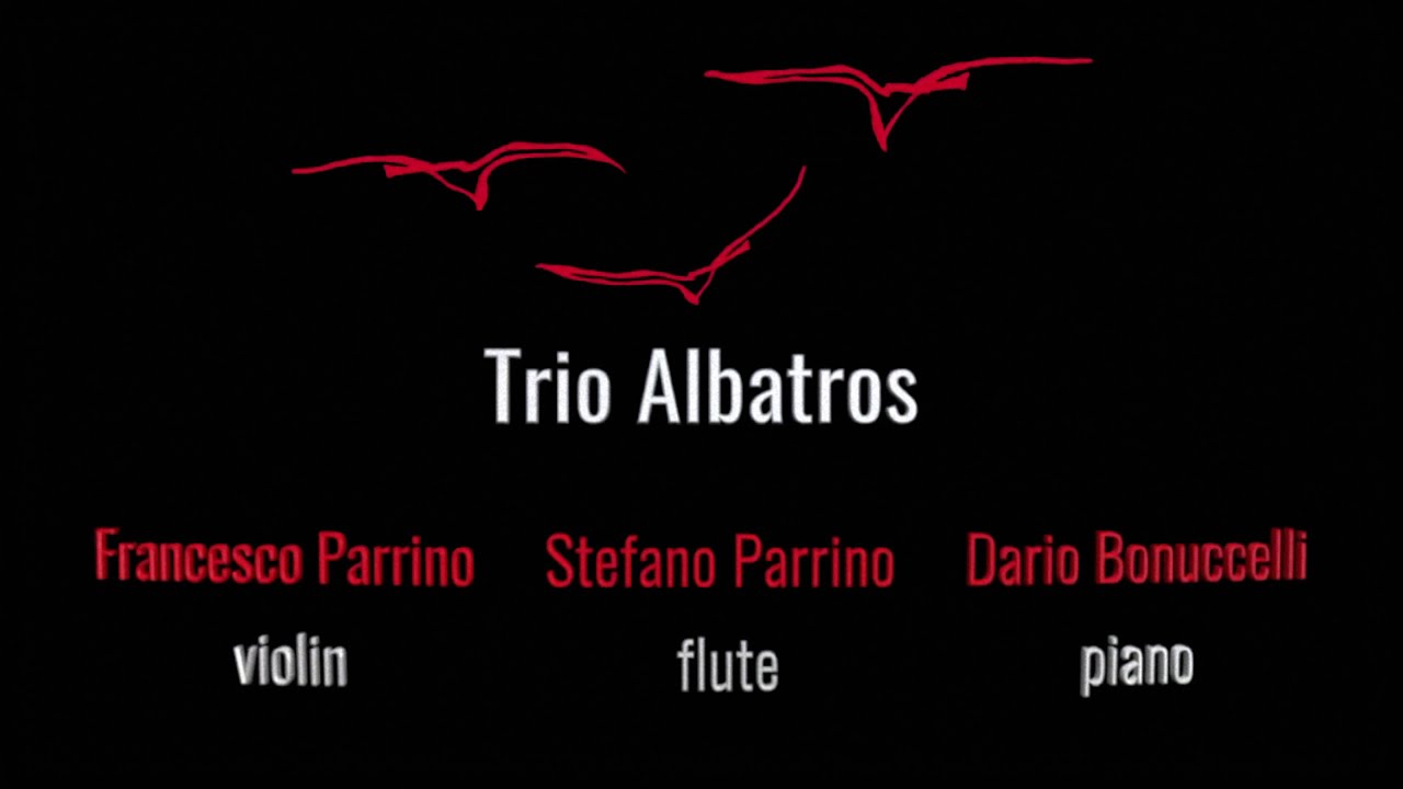The Trio Albatros performs  