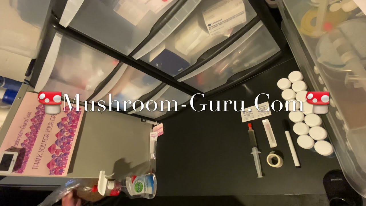 How to use a live liquid mushroom mycelium culture syringe. Mushroom-Guru