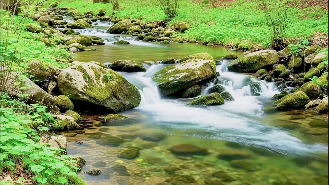 Tranquil River Sound for Deep Sleep | White Noise Therapy for Relaxation & Healing